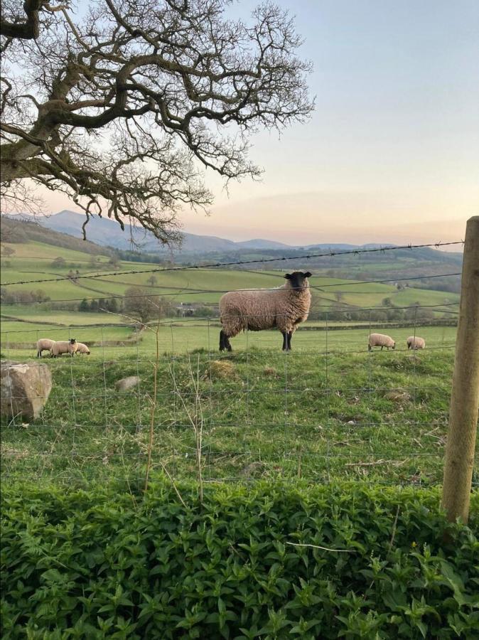 Cosy Arts & Crafts Cottage With Stunning Views ブレコン エクステリア 写真